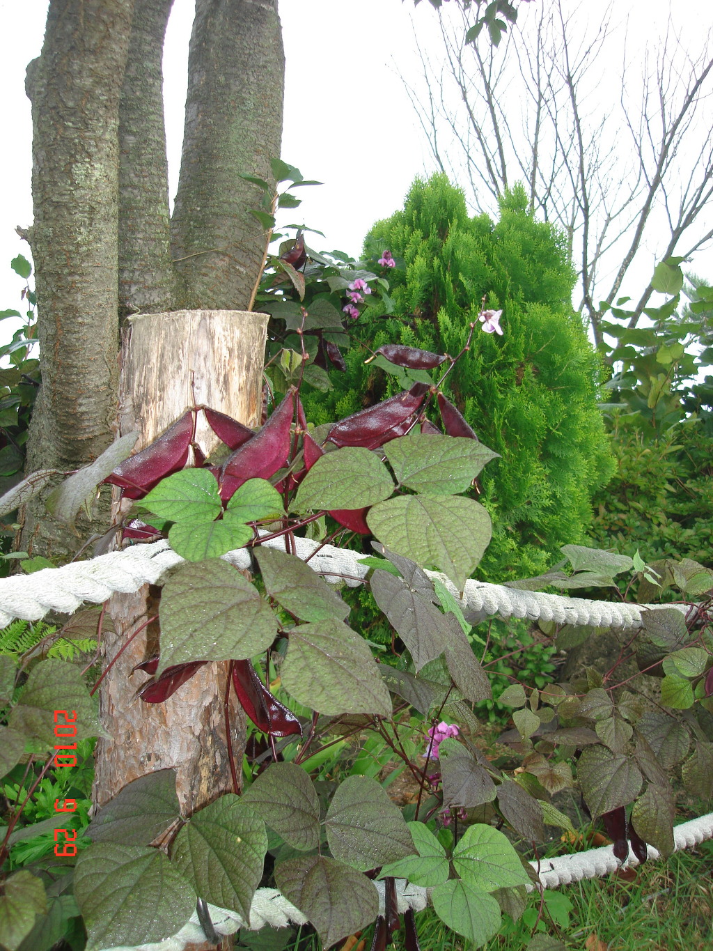덕산방 이미지