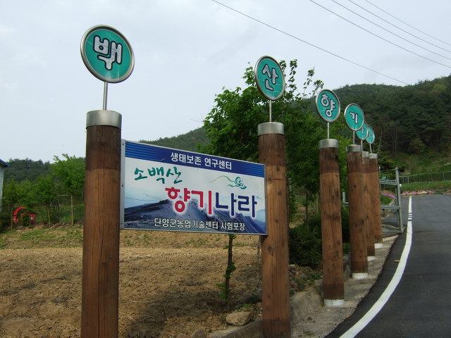 향기나라 이미지