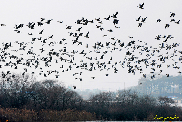 어린왕자의들꽃사랑마을