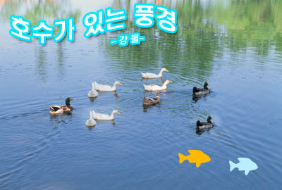 호수풍경 이미지