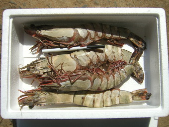 (주)석하 이미지
