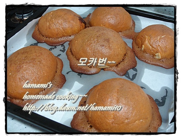 로티보이 이미지