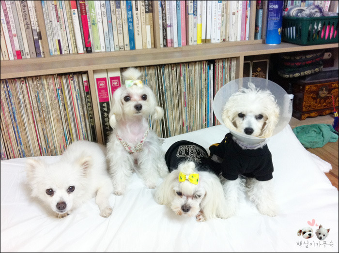달샘 이미지