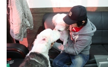 왕초네 이미지