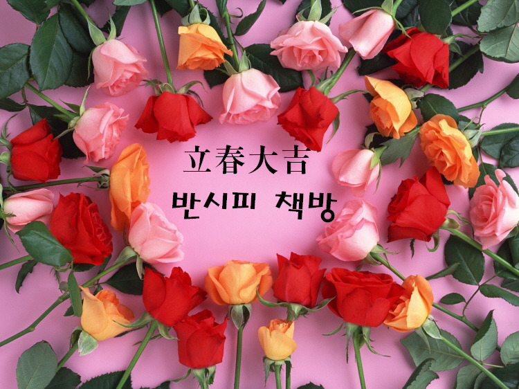 오세요책방 이미지
