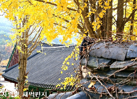 오므 이미지