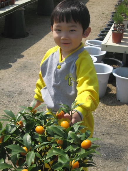 샛별화원 이미지