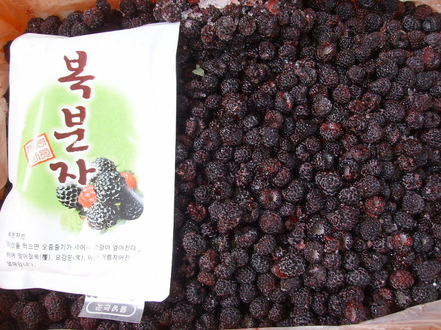 임마누엘 농장 이미지