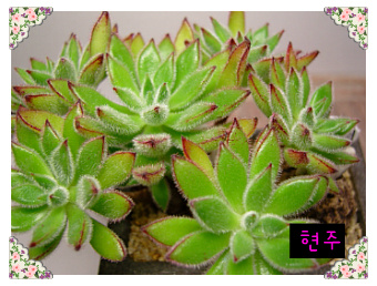 도리스 이미지