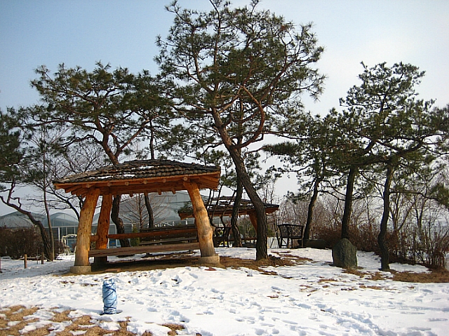 머리박사 이미지