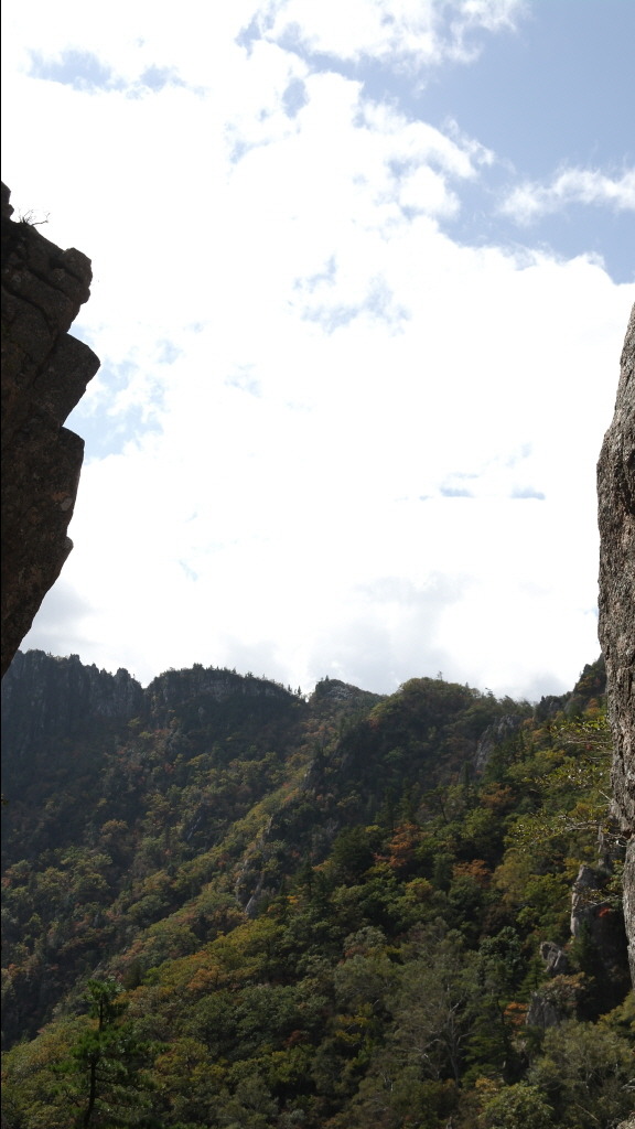 (주)대청 이미지