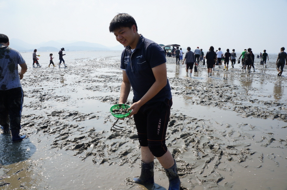 갯벌탐사 이미지