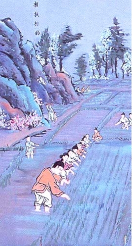 도리상조 이미지
