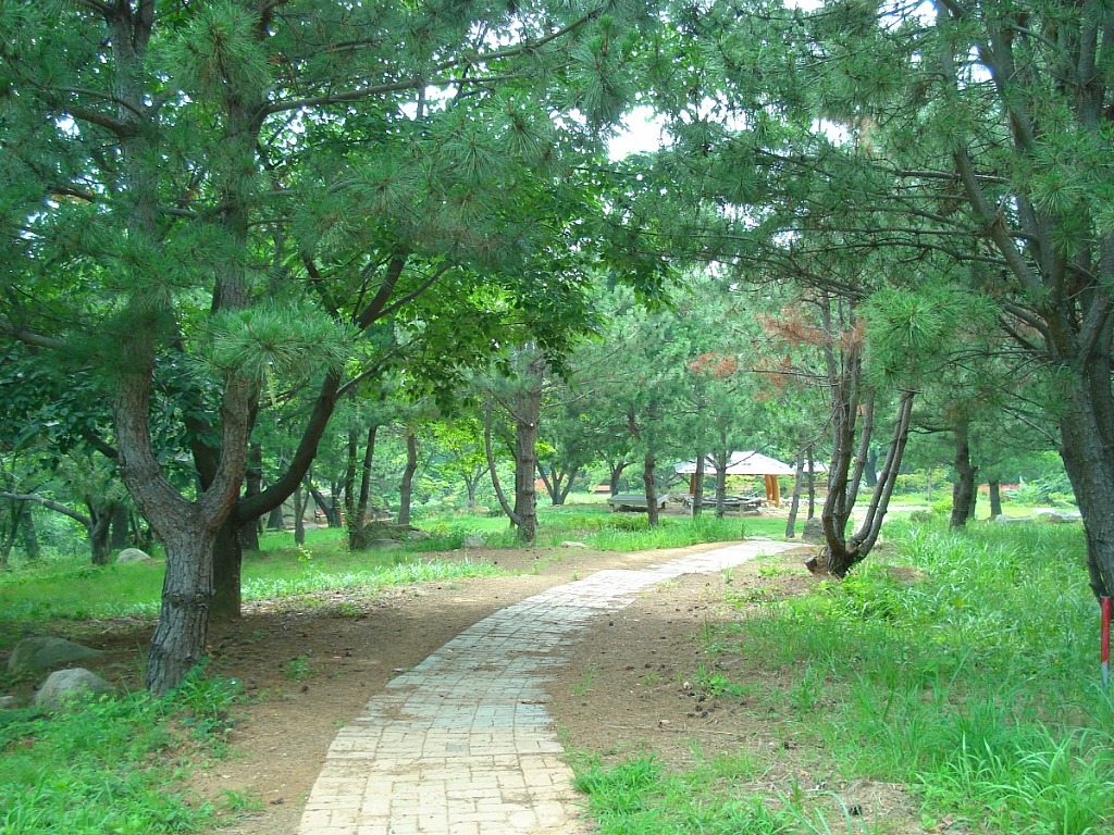 새동네다방 이미지