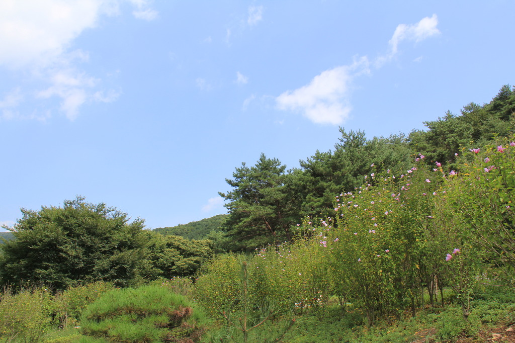 미동산수목원 이미지