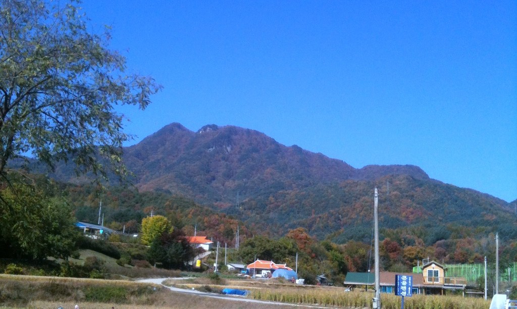 내촌농협 이미지