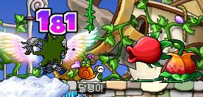오르비스 이미지