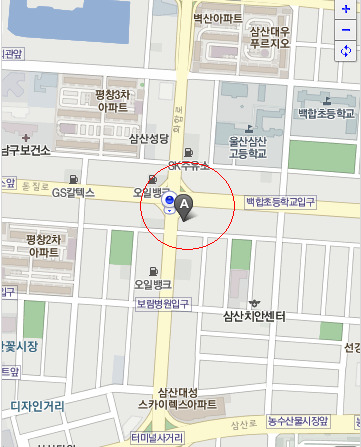 새마을여행사 이미지