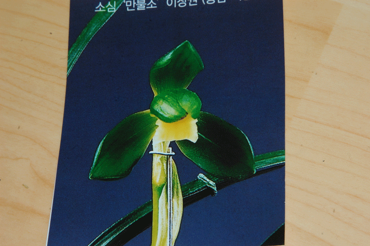 소심 이미지