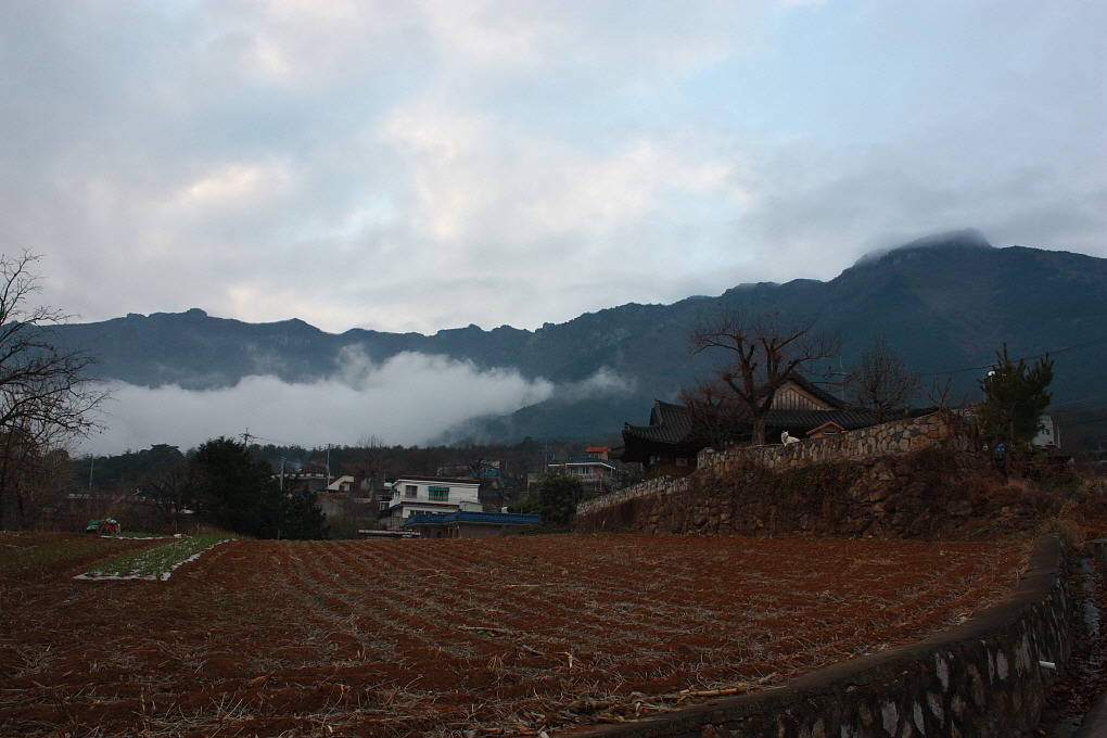 지산커피 이미지
