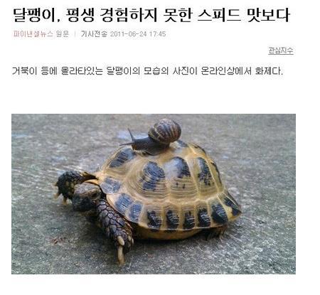 달팽이 이미지