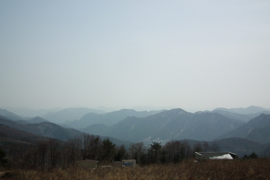 달보드레 이미지