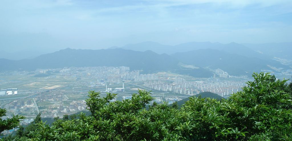 새동네다방 이미지