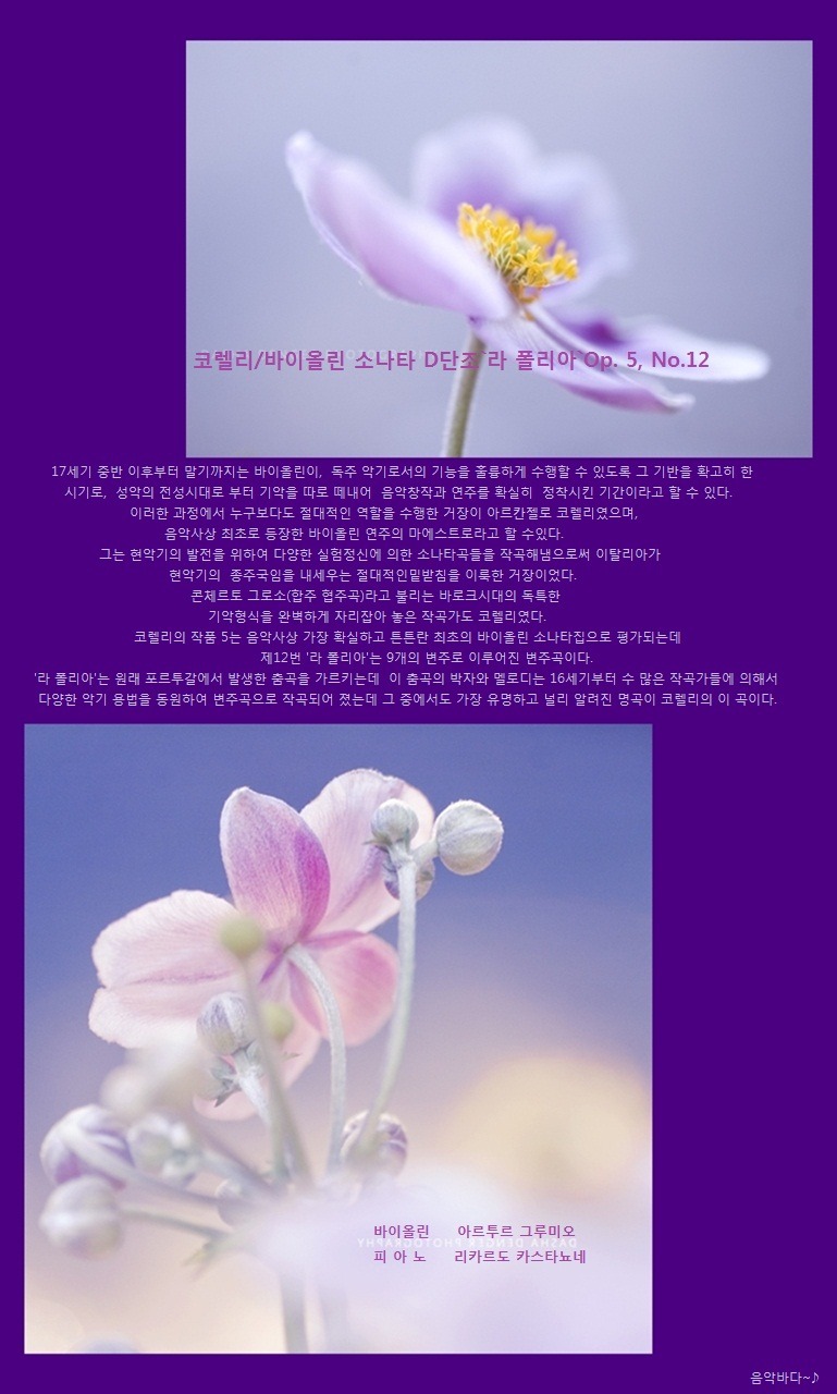 라 폴리아 이미지