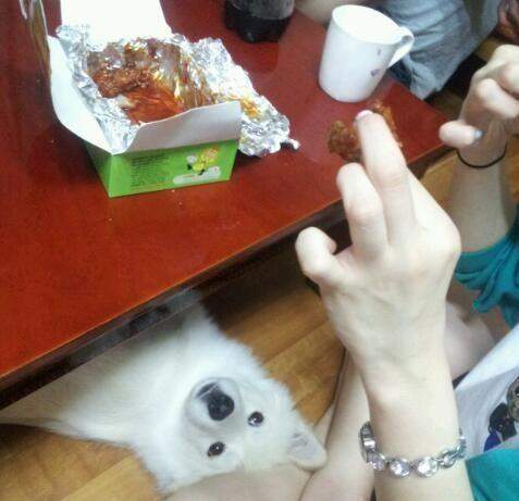 뿌스러기 이미지