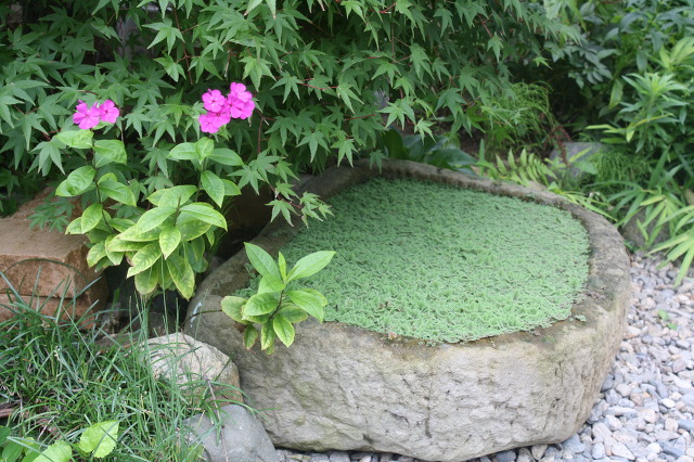 서래원 이미지