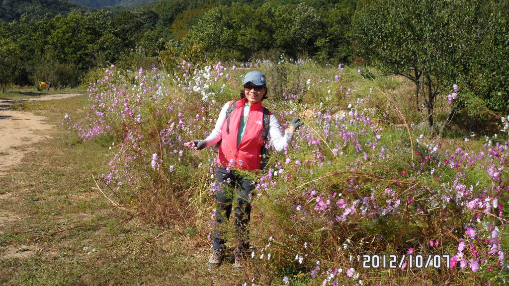 양산IC(통도사) 이미지