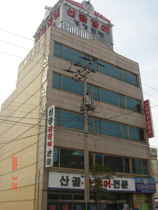 순천만 숲5 이미지