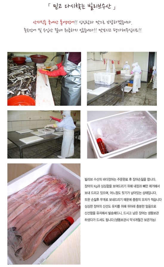 바다장어 이미지