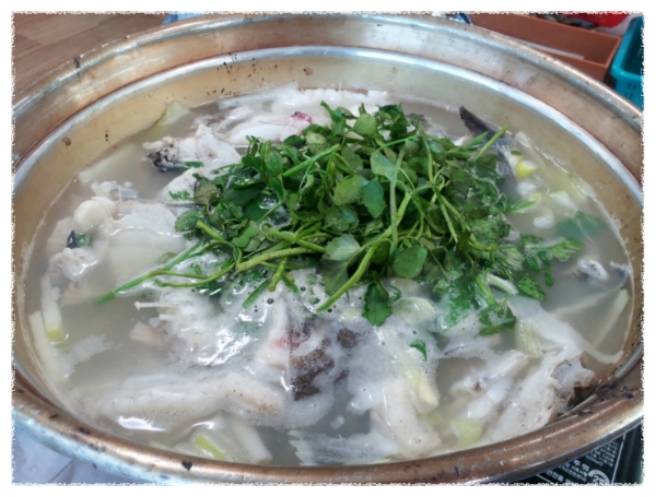 대구회 이미지