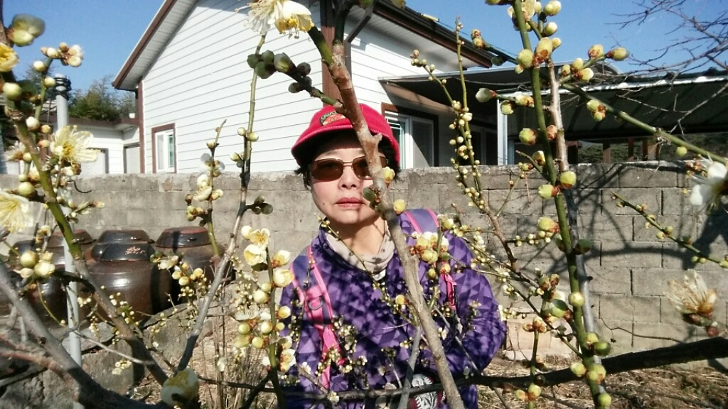 화음사 이미지