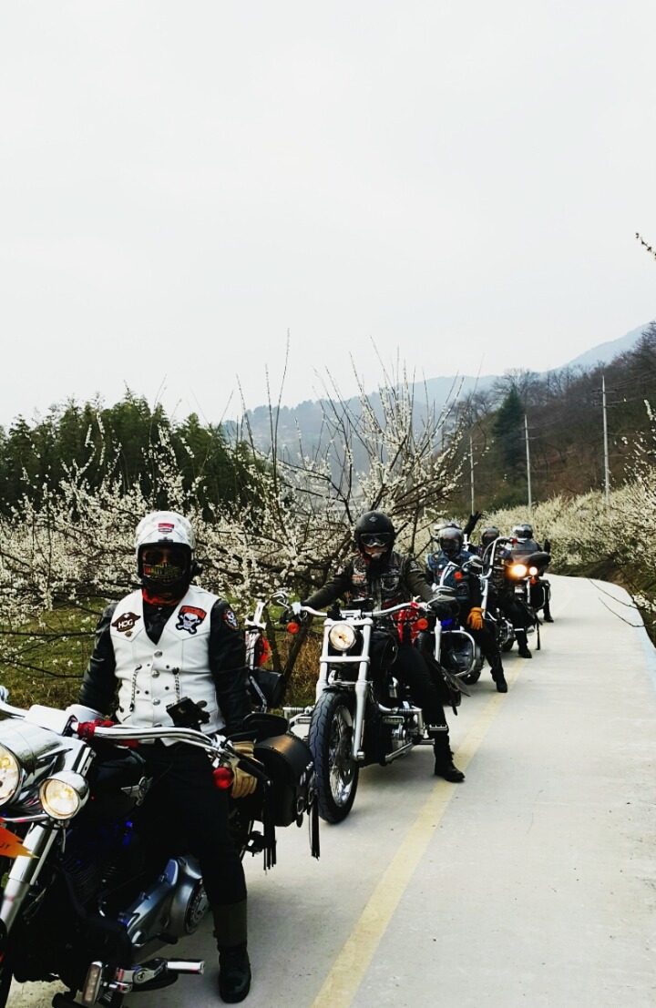 축제투어 이미지