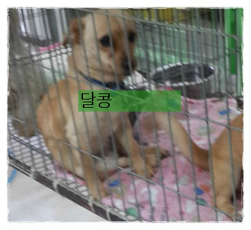 달콩커피 이미지
