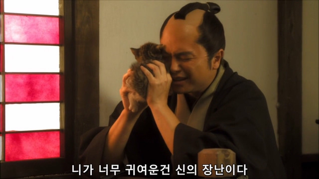 고양이 키우는 사람의 마음 | 인스티즈