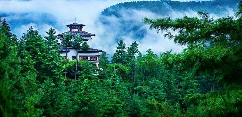 2114804E558EAD80069A78