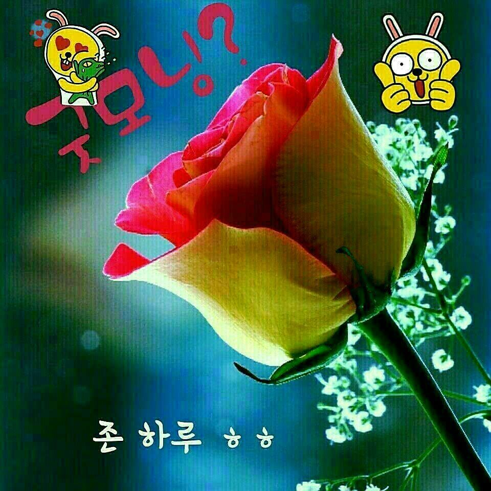 기분좋은하루 이미지