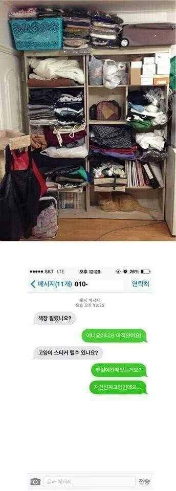중고나라 레전드들 | 인스티즈