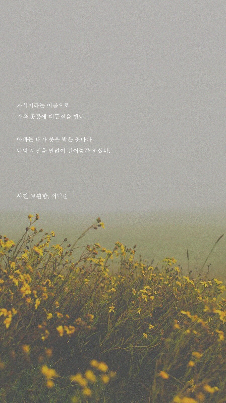 주민1이 좋아하는 서덕준 시 배경화면 모음 | 인스티즈