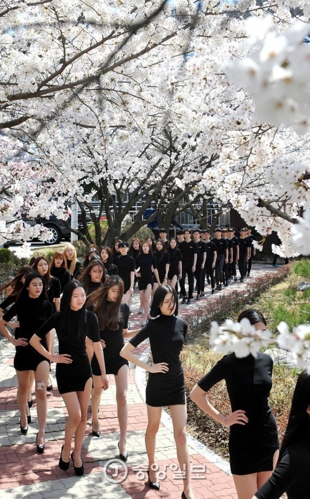 모델학과 학생들의 워킹연습 | 인스티즈