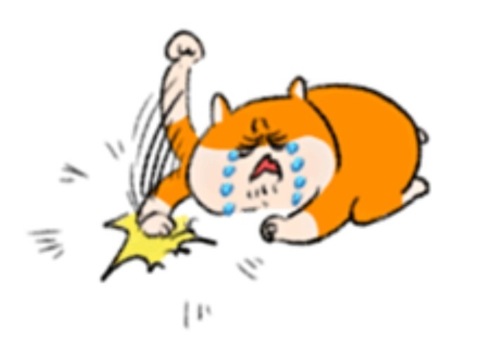 kc 인증마크 전안법 반대하는 민원전화 넣는 방법!(전안법이 뭐야? = 우리는 더이상 옷을 싸게 살수 있는 선택권이 줄어들어요)| | 인스티즈