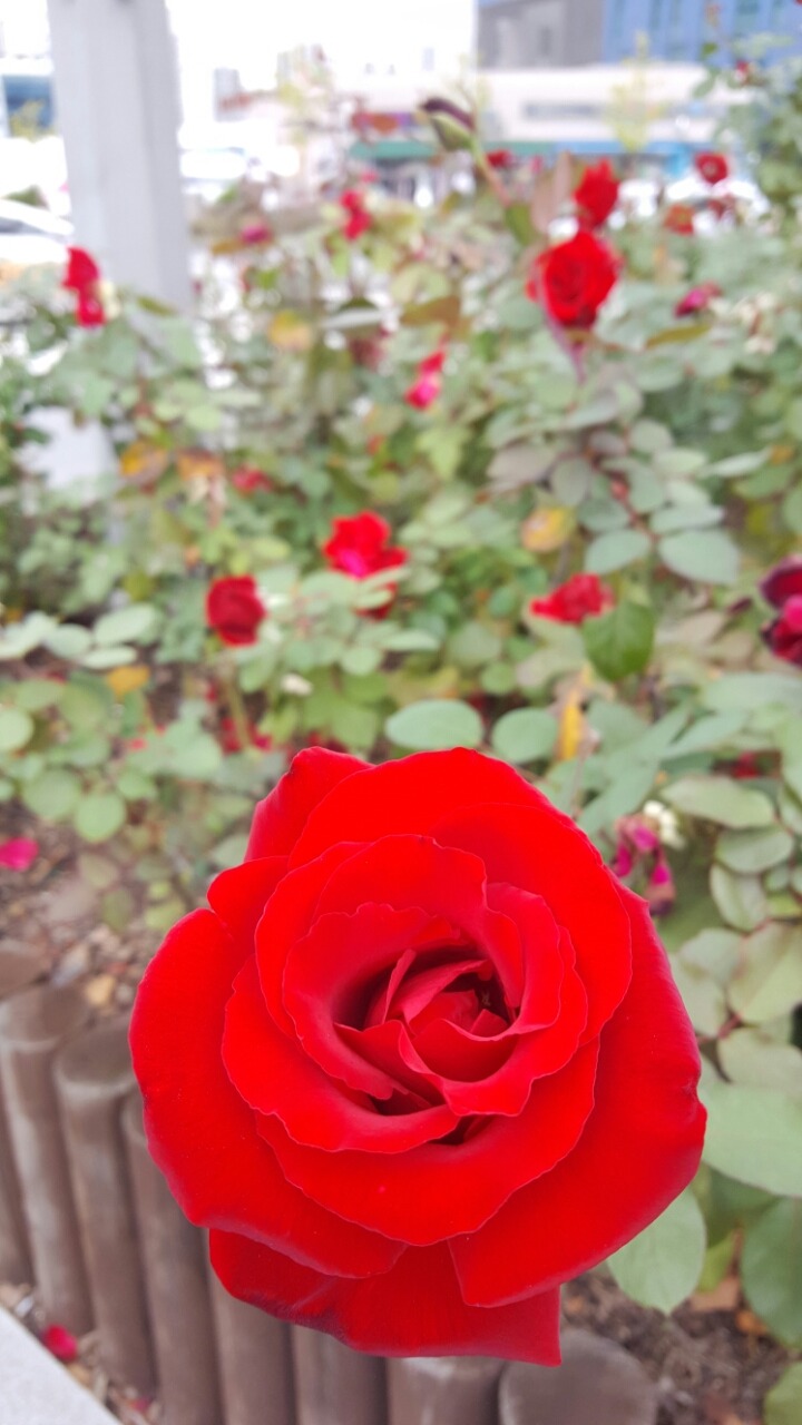 오~방가 이미지