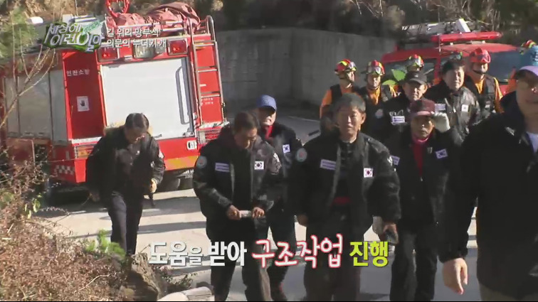 [세상에이런일이] 도로위에 망부석이 되서 주인을 기다리는 강아지.jpg | 인스티즈