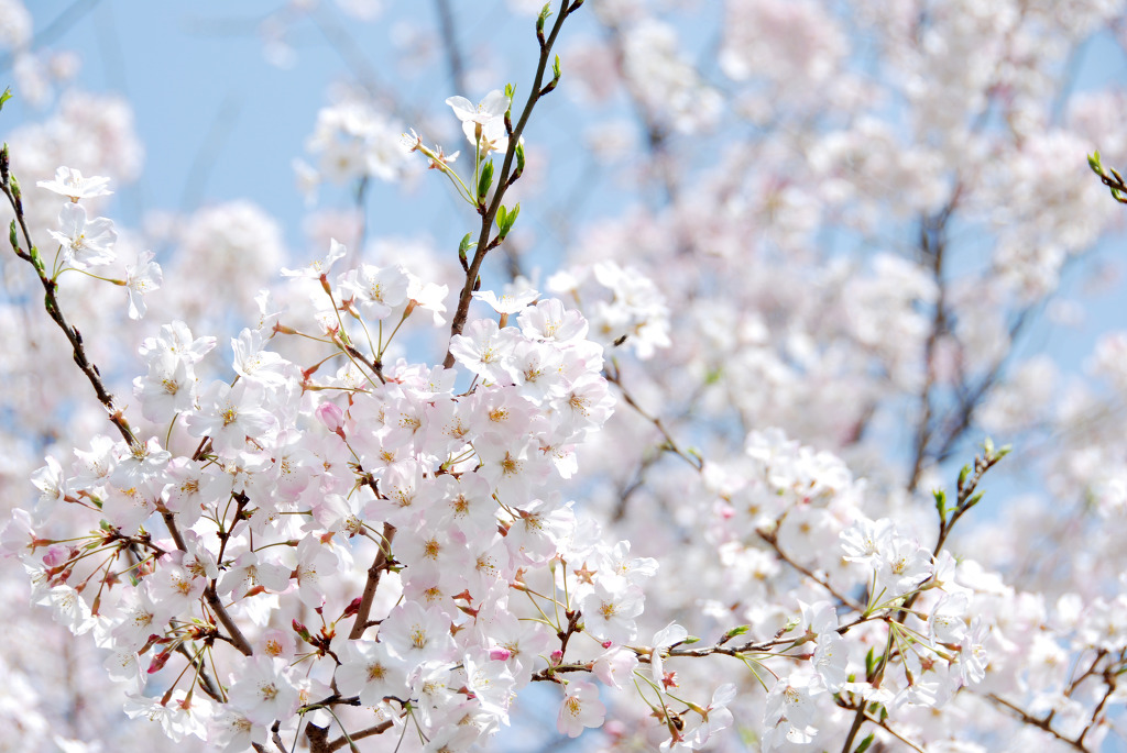 준비하고 계시죠? | 인스티즈