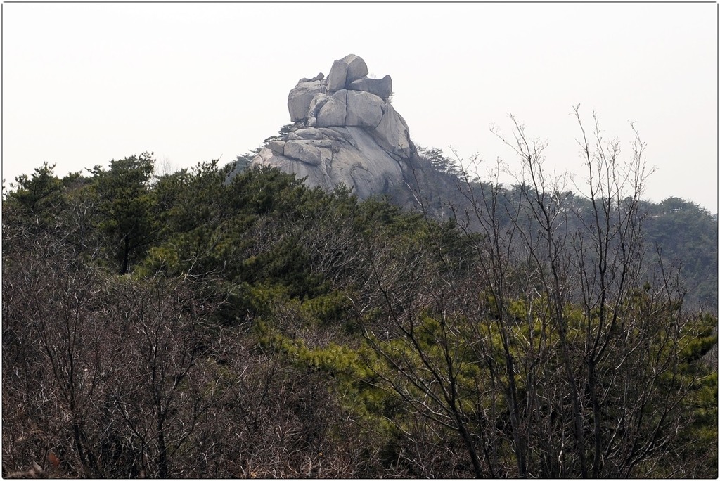 김규호 이미지
