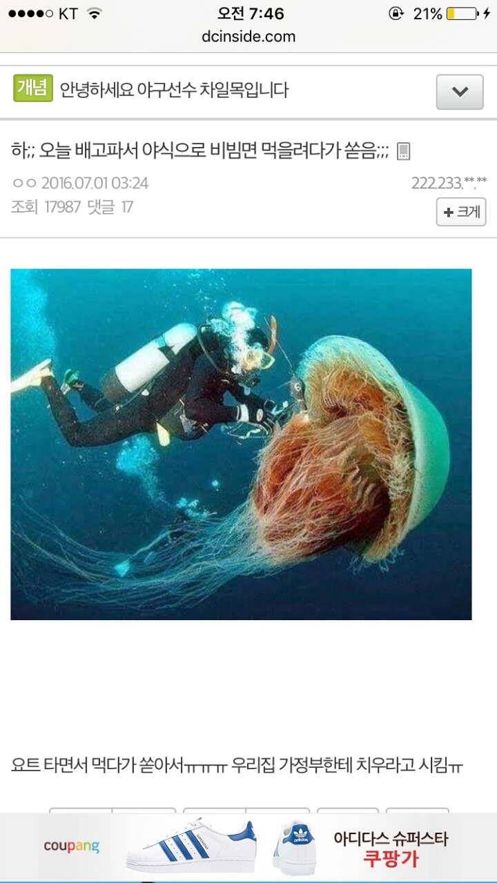 보다 웃겨서 캡쳐해온 허언증갤 모음 | 인스티즈
