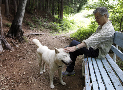 문재인 고양이,강아지 | 인스티즈